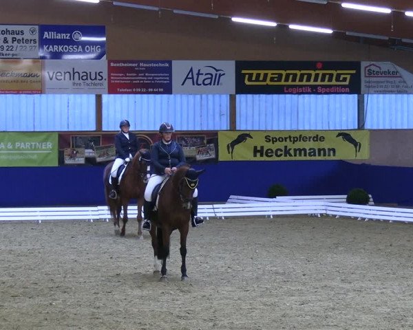 Reitturnier Isterberg 2023