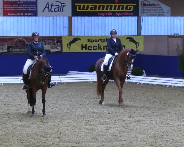 Reitturnier Isterberg 2023