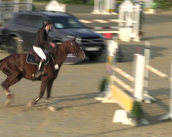 Reitturnier Kamen 2023