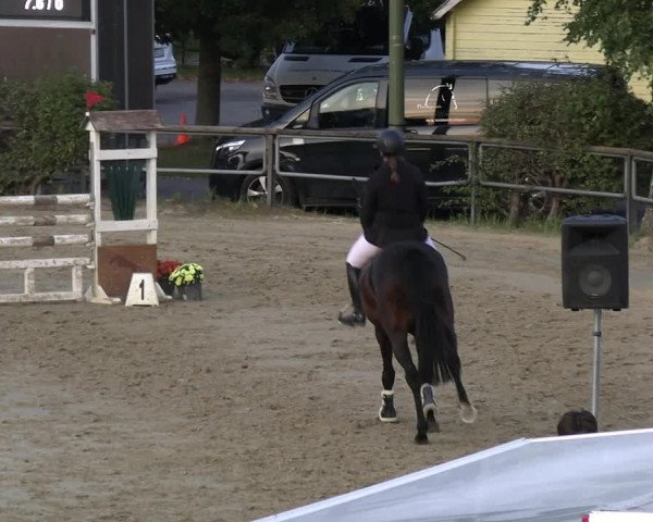 Reitturnier Kamen 2023
