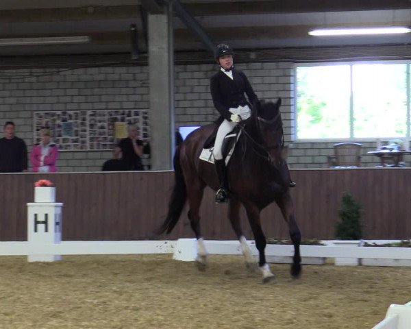 Reitturnier Bottrop-Kirchhellen 2023