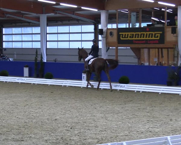 Reitturnier Isterberg 2023