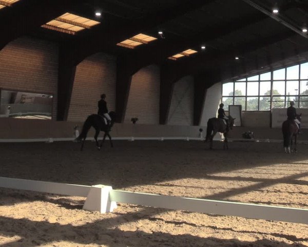 Reitturnier Kamen 2023