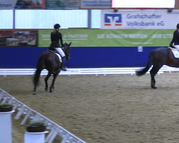 Reitturnier Isterberg 2023