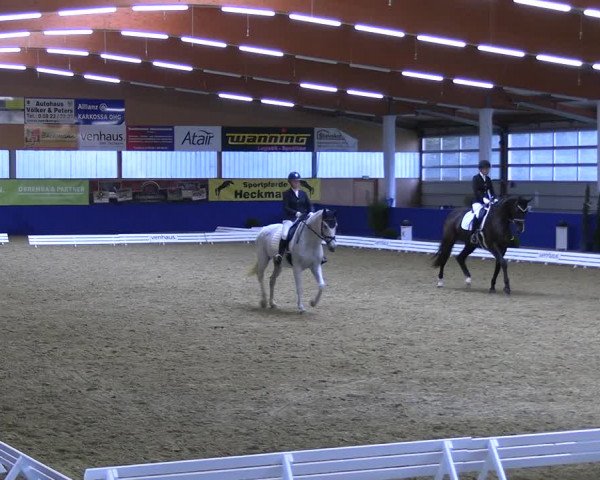 Reitturnier Isterberg 2023
