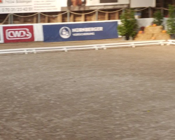 Reitturnier Böblingen 2023