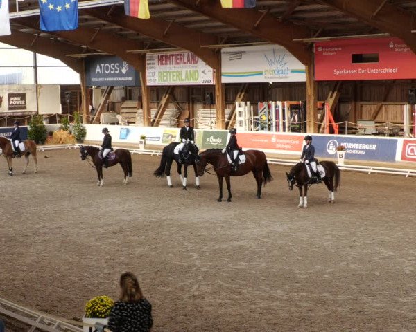 Reitturnier Böblingen 2023