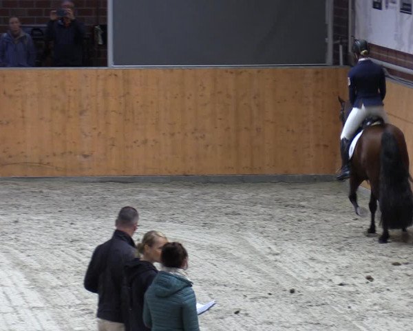 Reitturnier Güstrow/Cavallo Arena 2023