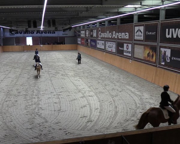Reitturnier Güstrow/Cavallo Arena 2023