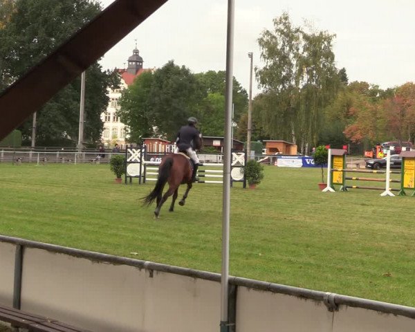 Reitturnier Röhrsdorf/ Chemnitz 2023