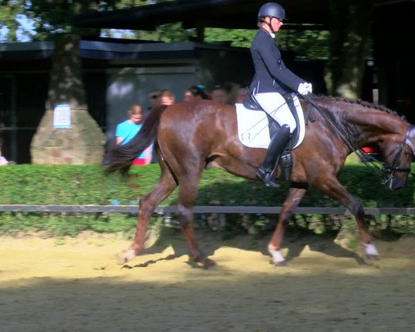 Reitturnier Bottrop-Kirchhellen 2023