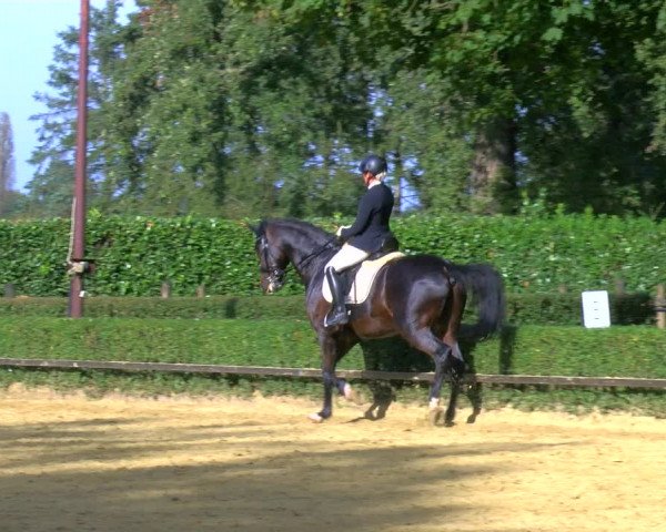 Reitturnier Bottrop-Kirchhellen 2023