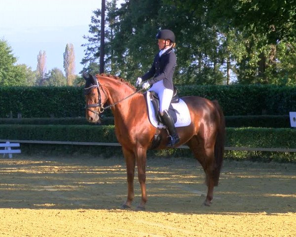 Reitturnier Bottrop-Kirchhellen 2023