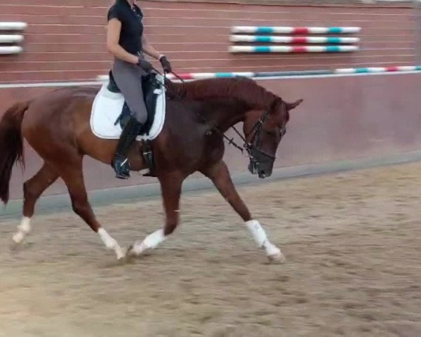 Video of Let's Dance 114