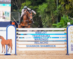 jumper Hst Charlene Imperio Egipcio (Brazilian horse, 2012, from Chester Z)