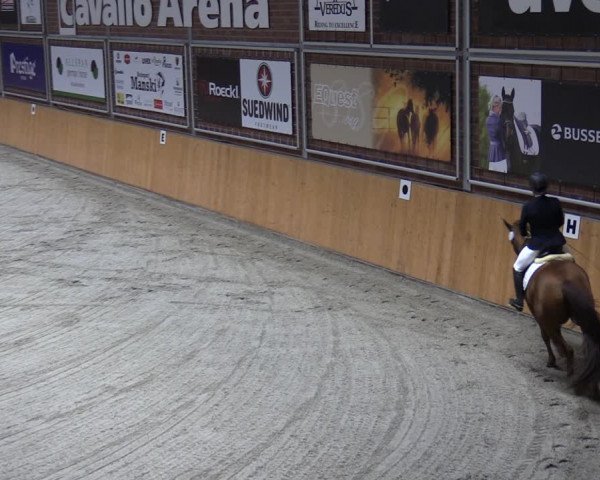 Reitturnier Güstrow/Cavallo Arena 2023