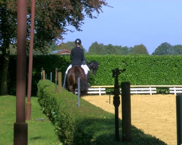 Reitturnier Bottrop-Kirchhellen 2023