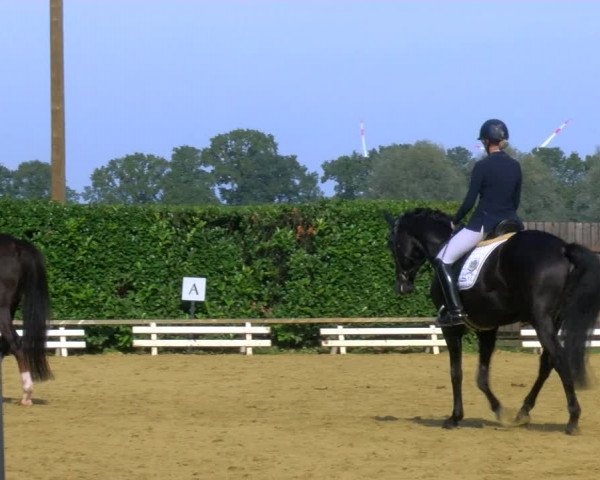 Reitturnier Bottrop-Kirchhellen 2023