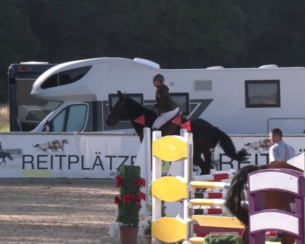 Reitturnier Ranshofen - Braunau am Inn 2023