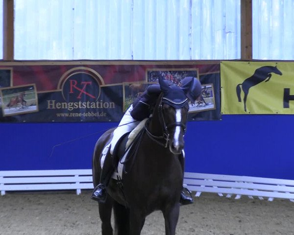 Reitturnier Isterberg 2023