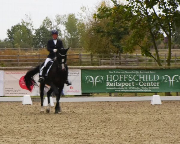 Reitturnier Ruhlsdorf 2023