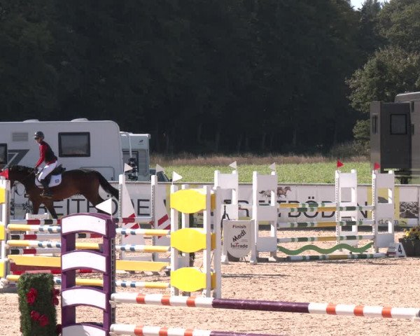 Reitturnier Ranshofen - Braunau am Inn 2023