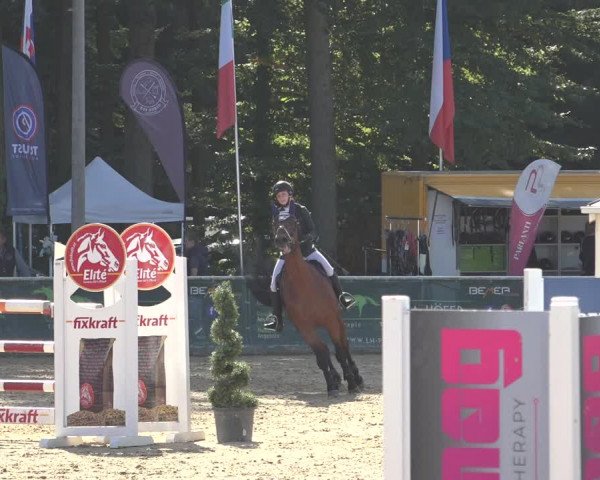 Reitturnier Ranshofen - Braunau am Inn 2023