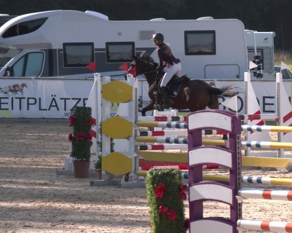 Reitturnier Ranshofen - Braunau am Inn 2023