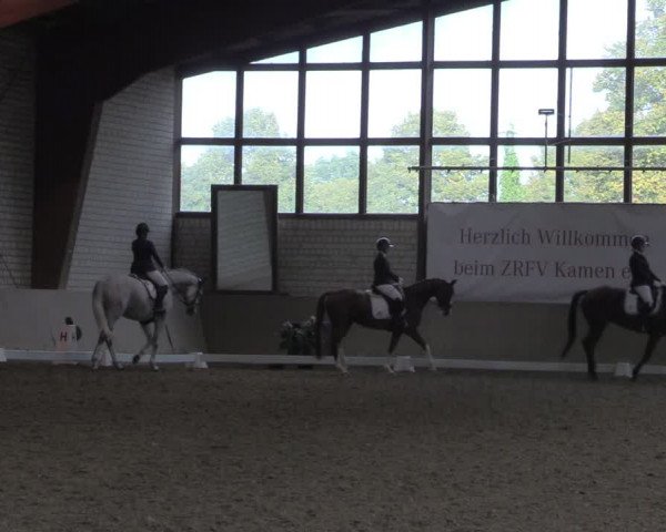 Reitturnier Kamen 2023