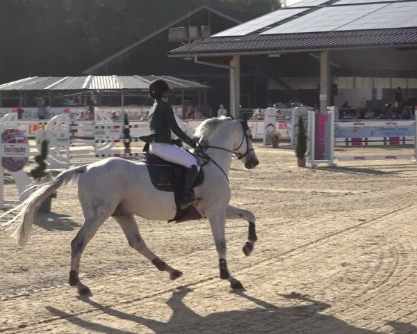 Reitturnier Ranshofen - Braunau am Inn 2023
