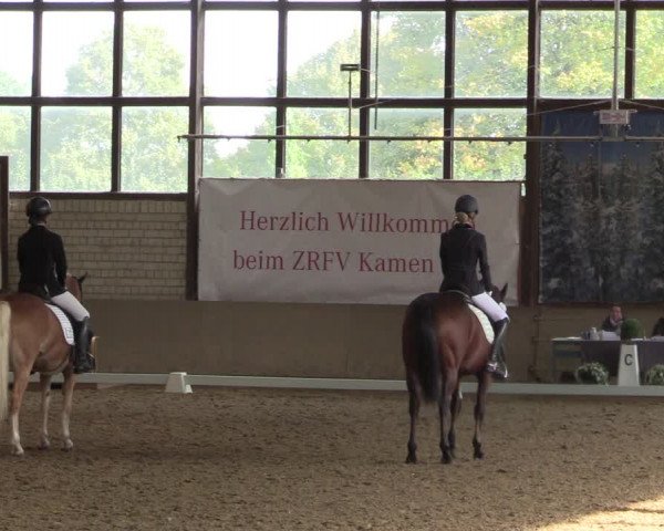 Reitturnier Kamen 2023
