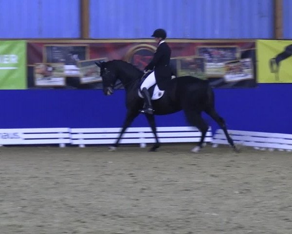Reitturnier Isterberg 2023