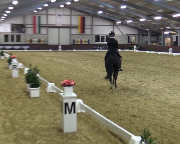 Reitturnier Bottrop-Kirchhellen 2023