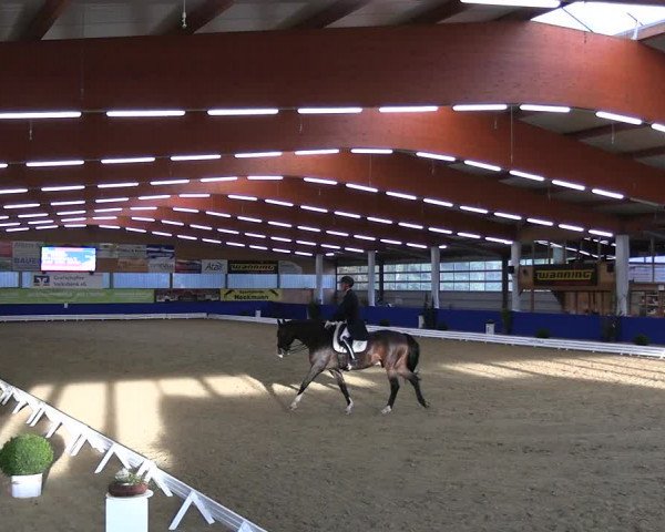 Reitturnier Isterberg 2023