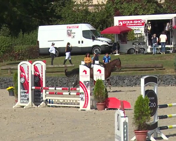 Reitturnier Frankenhof-Sonnefeld/Ofr. 2023