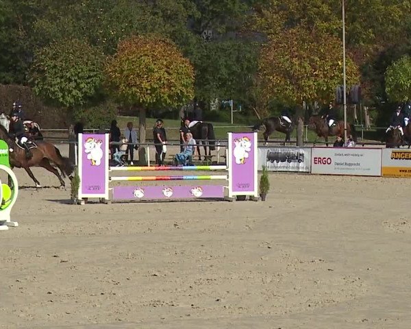 Reitturnier Frankenhof-Sonnefeld/Ofr. 2023