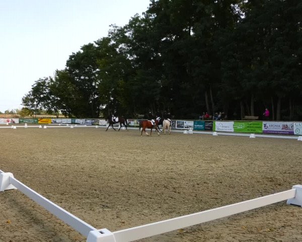 Reitturnier Ruhlsdorf 2023