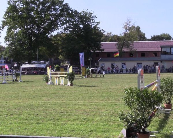 Reitturnier Röhrsdorf/ Chemnitz 2023