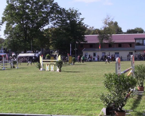 Reitturnier Röhrsdorf/ Chemnitz 2023