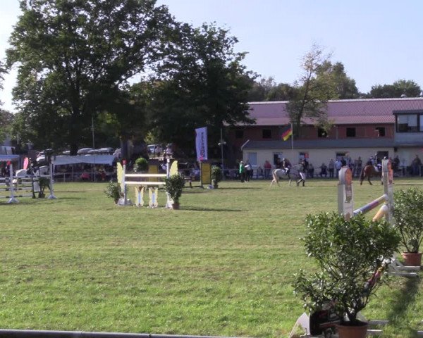 Reitturnier Röhrsdorf/ Chemnitz 2023