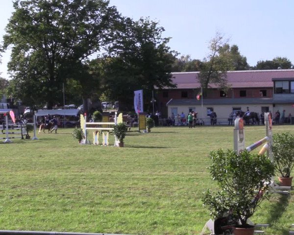 Reitturnier Röhrsdorf/ Chemnitz 2023