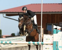 Springpferd DAILY EMOTION (Westfale, 2016, von Daily Motion)