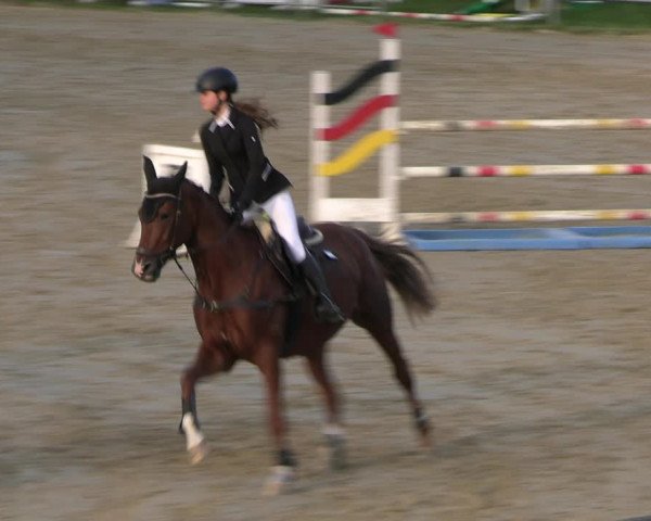 Reitturnier Kamen 2023