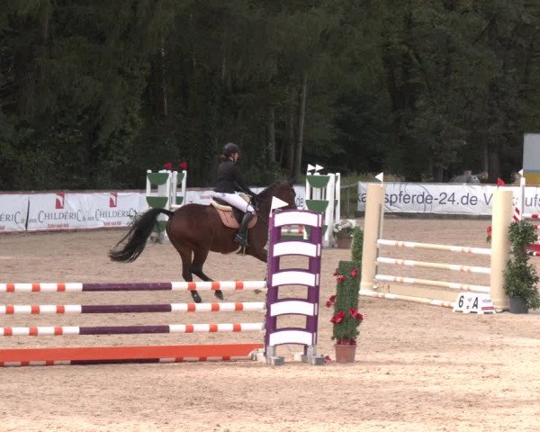 Reitturnier Ranshofen - Braunau am Inn 2023