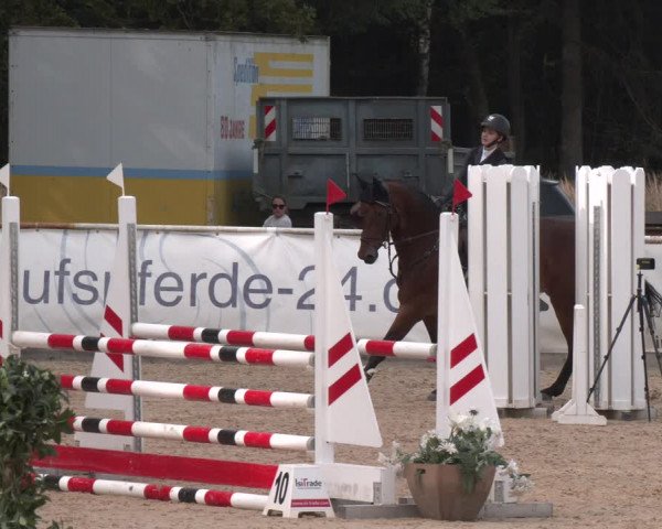 Reitturnier Ranshofen - Braunau am Inn 2023