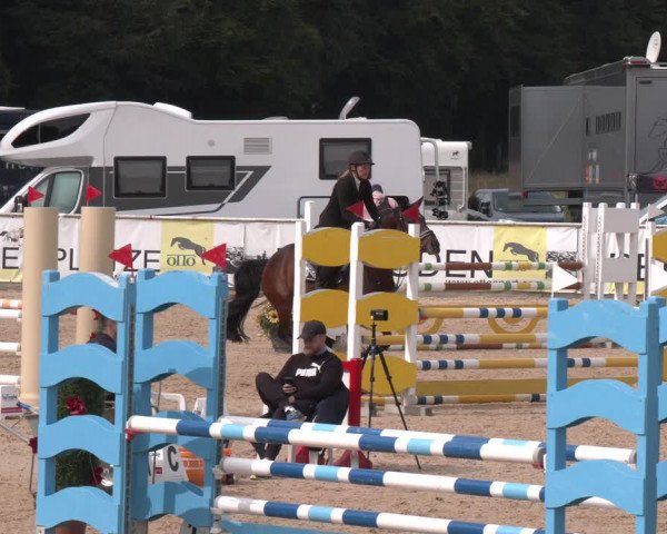Reitturnier Ranshofen - Braunau am Inn 2023