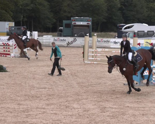 Reitturnier Ranshofen - Braunau am Inn 2023