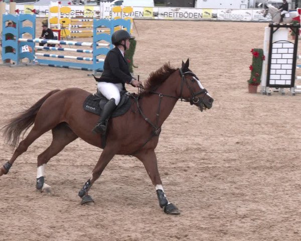 Reitturnier Ranshofen - Braunau am Inn 2023