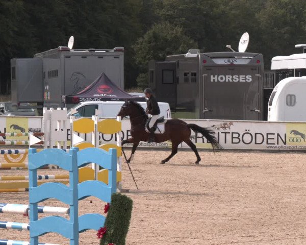 Reitturnier Ranshofen - Braunau am Inn 2023