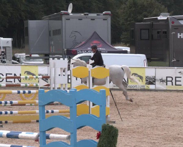 Reitturnier Ranshofen - Braunau am Inn 2023